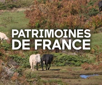 Replay Patrimoines de France - Bergers, gardiens des territoires