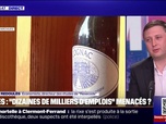 Replay 20H BFM - Droits de douane de 30% pour l'UE: Aujourd'hui, les chefs d'entreprises sont plus préoccupés par le climat politique français, observe Olivier Redoulès, économiste