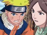 Replay Naruto - S01 E190 - Le Point faible de l'homme magnétique !