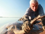 Replay River monsters - Les dents de la Floride