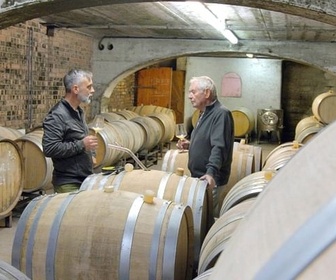 Replay 1985 - Le scandale des vins frelatés