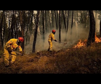 Replay Près de 3 500 pompiers mobilisés contre les feux dans le nord et le centre du Portugal