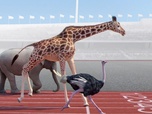 Replay Athleticus - 100 mètres d'athlétisme