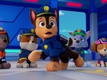Replay Paw Patrol, la Pat'Patrouille - Mission Détectives : La grande course à vélo