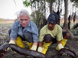 Replay River monsters - S9E2 - Le retour du poisson-chat tueur