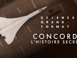 Replay Science grand format - Concorde, l'histoire secrète
