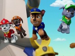Replay Paw Patrol, la Pat'Patrouille - Un chaton dans l'espace