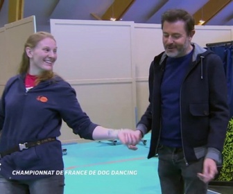 Replay Tous fous de concours insolites - Championnat du monde de cheval à deux pattes / Championnat de France de Dog-Dancing / Championnat du monde de Pied de Fer