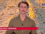 Replay Vrai ou faux, l'émission - 30/05/2026