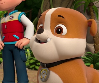 Replay Paw Patrol, la Pat'Patrouille - Mission Jungle : L'hippopotame de M. Hellinger