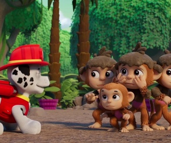 Replay S00 E78 - Compilation Paw Patrol, la Pat'Patrouille 78