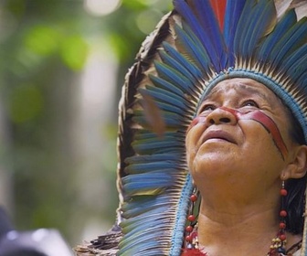 Replay L'Amazonie, merveilleuse apothicaire