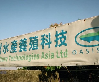 Replay Paysans du monde - Hong Kong : Ferme d'elevage de poissons