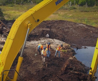 Replay Le mystère d'Oak Island : la course au trésor - S9E13 - La ligne d'argent