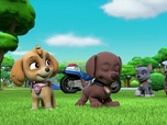 Replay Paw Patrol, la Pat'Patrouille - La Moto Patrouille : La spirale rocheuse