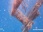 Replay Positive Outre-mer