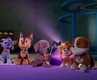 Replay Paw Patrol, la Pat'Patrouille - Le phare de l'île des Phoques