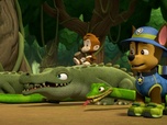 Replay Paw Patrol, la Pat'Patrouille - Attention, boules puantes !