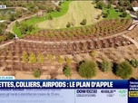 Replay Tech & Co, la quotidienne - Le Tech Flash : Lunettes, colliers, AirPods… le plan d'Apple, par Léa Benaim - 18/02