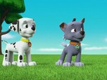 Replay Paw Patrol, la Pat'Patrouille - Sauvetage extrême : L'atterrissage du Capitaine Gordy