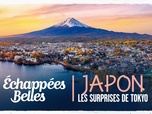 Replay Échappées belles - Japon, les surprises de Tokyo