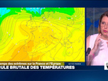 Replay Élément Terre, La Quotidienne