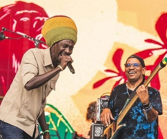 Replay Summerjam 2025 - Meta Dia & Third World