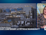 Replay Élément Terre, la quotidienne - Le blocus du détroit d'Ormuz aiguise les appétits des producteurs occidentaux d'hydrocarbures