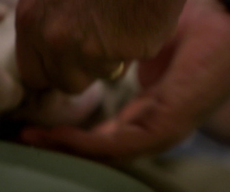 Replay Au cœur du zoo de New York - S2E1 - Bébé miracle