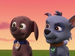 Replay Paw Patrol, la Pat'Patrouille - Une pieuvre farceuse
