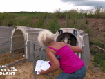Replay Les reines du volant - S6E12 - Episode 6 - Partie 2