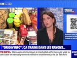 Replay Où est passé le logo Origin'info, qui permet de savoir d'où proviennent les aliments transformés dans les rayons? BFMTV répond à vos questions