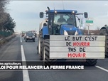 Replay Info Éco - Colère agricole : le gouvernement présente son projet de loi pour sauver l'agriculture française