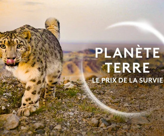 Replay Planète Terre - 13/04/2026