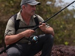 Replay Pêche XXL : derniers géants - Dans l'ombre du requin