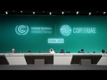 Replay COP 28 à Dubaï : le fonds pertes et dommages adopté