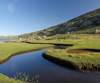 Replay Le monde végétal - La Corse, beauté sauvage
