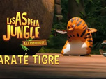 Replay Les as de la jungle à la rescousse - Karaté tigre