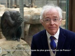 Replay e=m6 - Beauval : les secrets scientifiques du plus grand zooparc de France