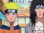 Replay Naruto - S01 E208 - L'Objet d'art rare