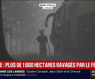 Replay BFM Grand Soir - Belgique : plus de 1 600 hectares ravagés par le feu - 15/08