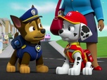 Replay Paw Patrol, la Pat'Patrouille - Les chats secouristes