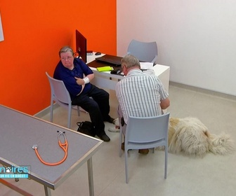 Replay Vétérinaires : leur vie en direct - Yann et ses éléphants