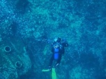 Replay Invitation au voyage - 16/04/2025 - À Marseille, la grande épopée des fonds marins