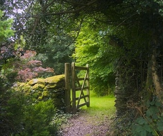 Replay Au cœur de la campagne - La vie secrète des jardins britanniques