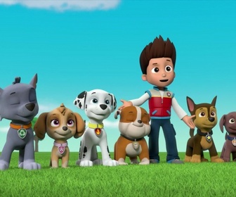 Replay Paw Patrol, la Pat'Patrouille - Les trois oiseaux
