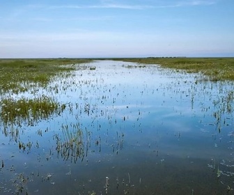 Replay Le parc espagnol De Donana - Des royaumes de terre et d'eau