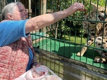 Replay Cohabiter avec des animaux sauvages - ARTE Regards