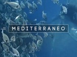Replay Mediterraneo - En Tunisie, dans la nasse