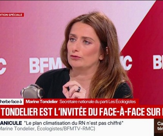Replay Face à Face - Marine Tondelier: Les Français sont les bonnets d'âne de l'Europe sur les énergies renouvelables